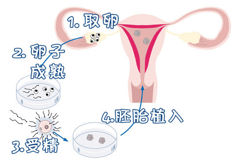 实验室环境